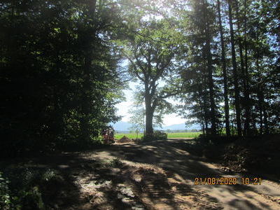 2. Leitung Reute - Wald Reute